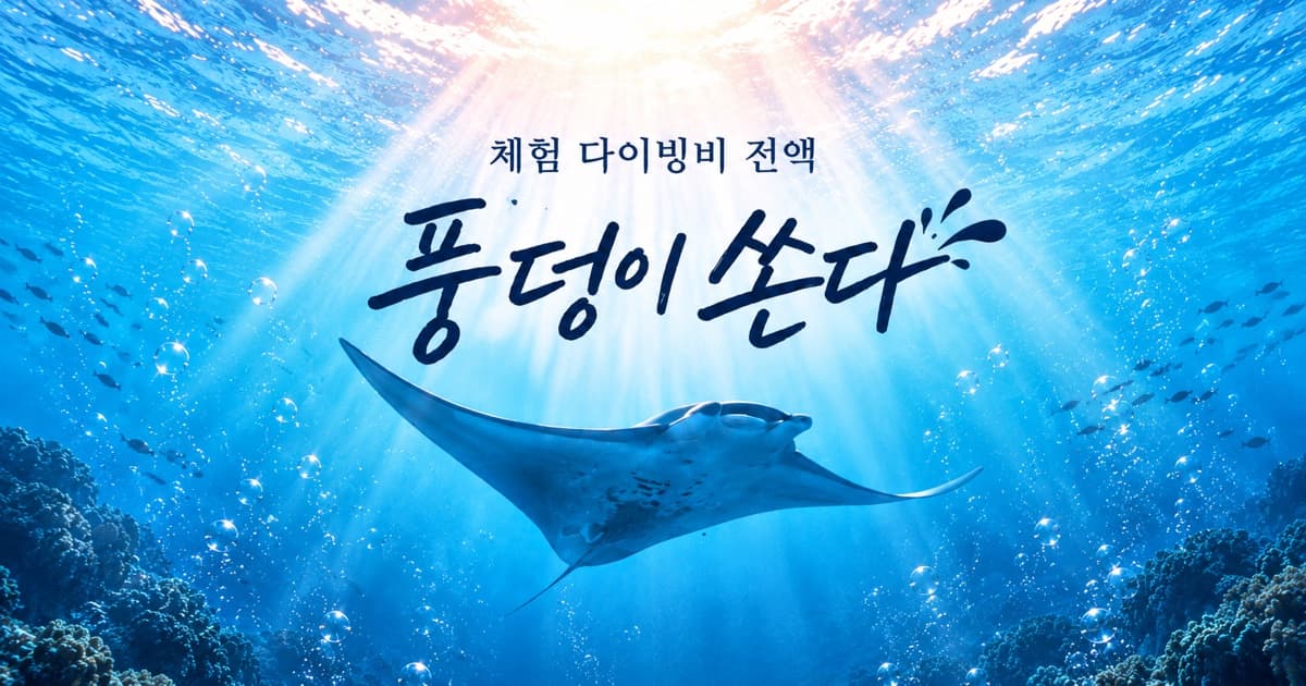 체험 다이빙비 전액, 풍덩이 쏜다 — 런칭 프로모션 배너