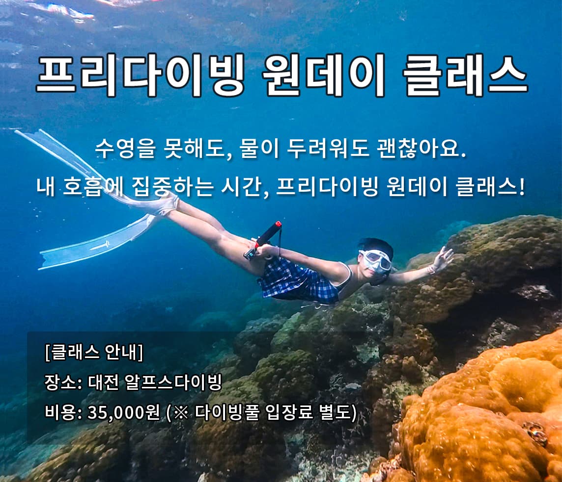 차차강사의 프리다이빙 원데이 클래스 (수영을 못해도ok!) 강의 사진