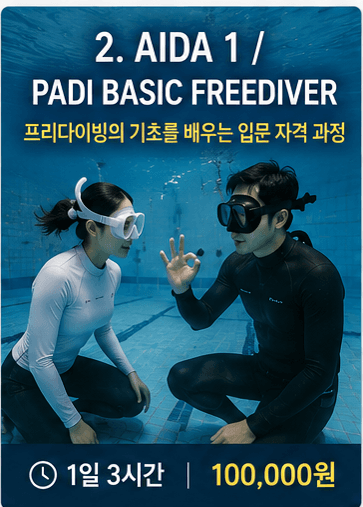 🏅 AIDA 1 / PADI Basic Freediver 강의 사진